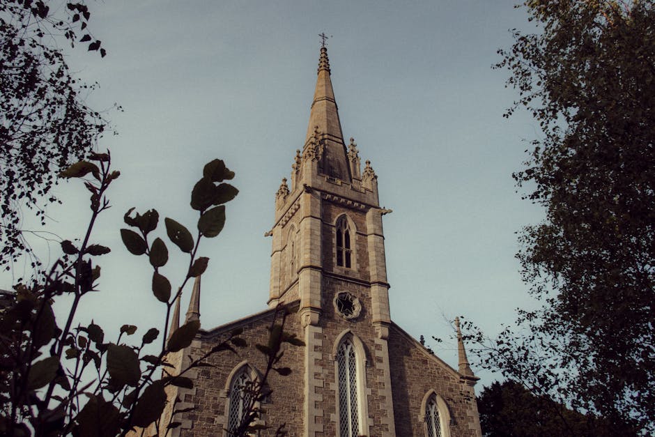 A scene tied to the order's service and community life